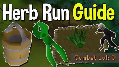 The crops grown range from vegetables, herbs and hops, to wood-bearing trees, cacti, and mushrooms. . Herb run calc osrs